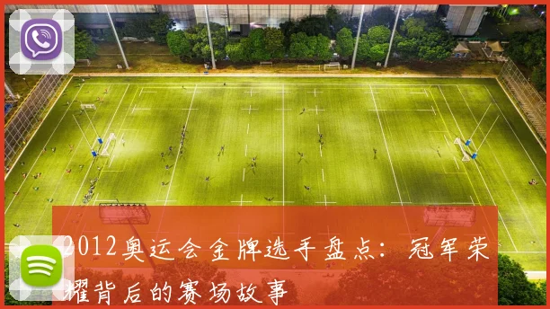 2012奥运会金牌选手盘点:冠军荣耀背后的赛场故事