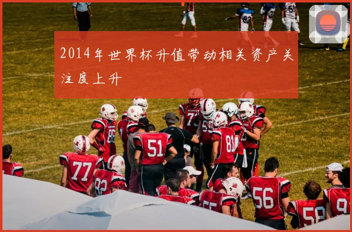 2014年世界杯升值带动相关资产关注度上升