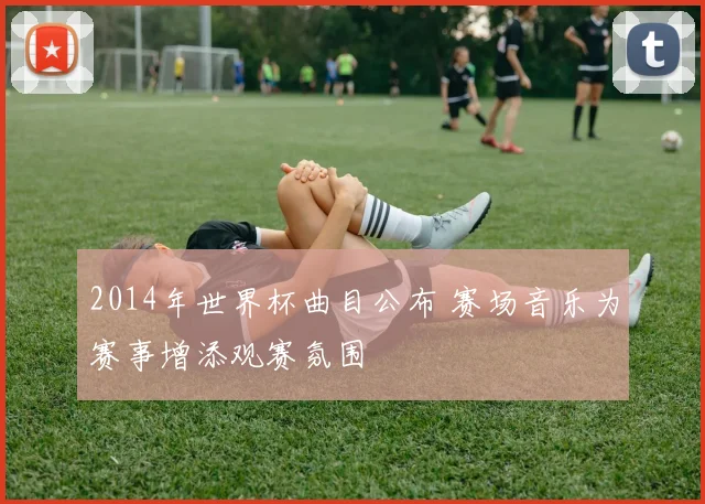 2014年世界杯曲目公布 赛场音乐为赛事增添观赛氛围